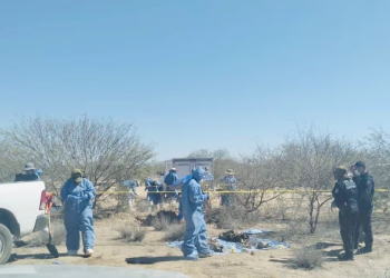 Asesinan a 22 buscadores de 2011 a 2024; Guanajuato y Sonora los más peligrosos: Nuestros Desaparecidos en México