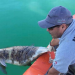 Preservación de vaquita marina, genera delincuencia en San Felipe
