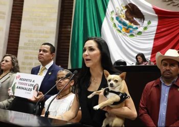 Diputados aprueban reforma sobre protección y cuidado animal