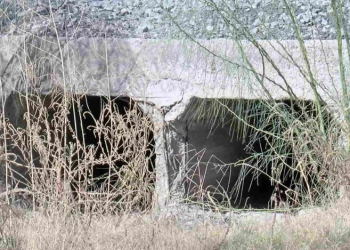 Localizan Cuerpo Sin Vida en Colonia Puerta Real de Hermosillo