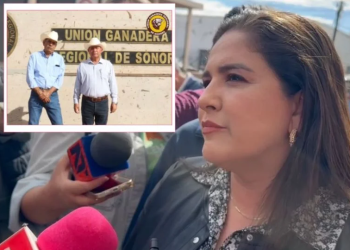 Confían en pronta apertura de frontera para exportar ganado; 3 mil cabezas están detenidas en Sonora