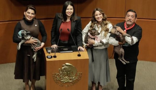 El Senado aprueba por unanimidad la reforma para la protección de animales