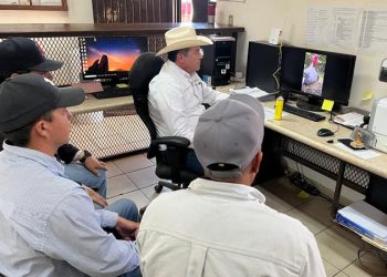 Trabajan Gobierno de Sonora y Gobierno de México para reapertura pronta de frontera para exportación de ganado