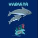 Protección de la vaquita marina es responsabilidad de todo el gobierno: Ávila Martínez