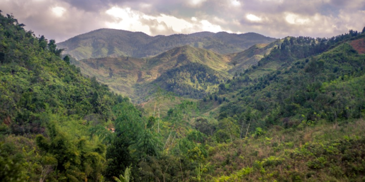 Minaurum Gold Amplía su Control en el Distrito Aurífero en Sonora con Leyes de Oro Altas