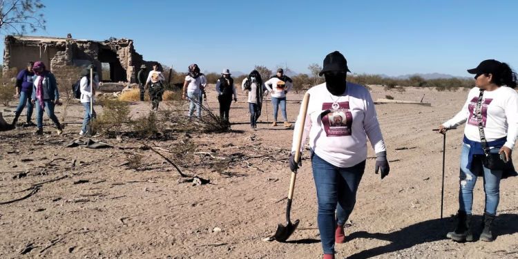 Ceci Flores reporta el hallazgo de un cuerpo sin rostro en Sonora