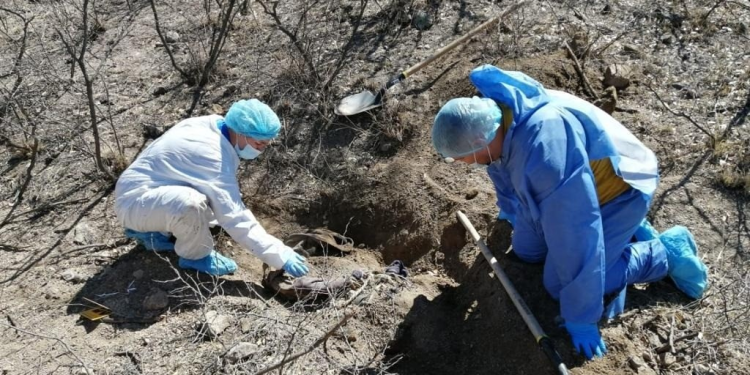 Estiman que en Sonora hay 400 cuerpos y restos óseos sin identificar