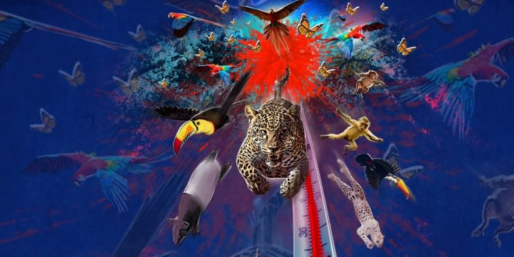 Áreas naturales en alerta por recorte presupuestal