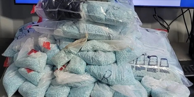 Incautan dos cargamentos de casi medio millón de pastillas de fentanilo entre Sonora y Arizona