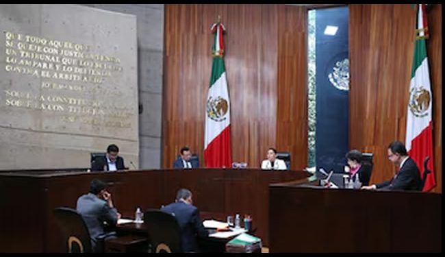 Tribunal Electoral avala división de distritos para elegir a jueces federales, como propuso el INE