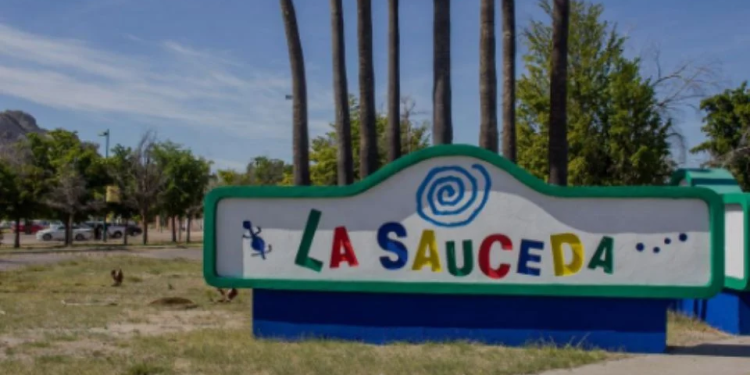 Complejo urbano y ecológico ‘La Sauceda’: Faltan 7 mil árboles por plantar en el bosque urbano