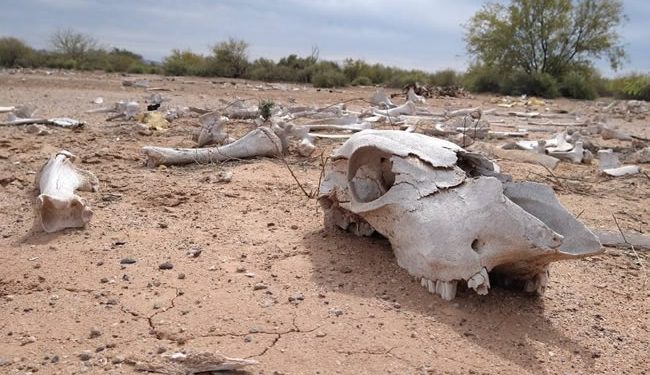 Más perniciosa la política económica que la sequía: Movimiento Ciudadano por el Agua