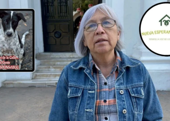 Mantienen por tres generaciones tradición de rescatar mascotas