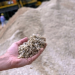 China propone restringir exportaciones de tecnología de minerales