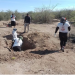 Madres buscadoras de Sonora localizan restos de 6 personas en San Ignacio Río Muerto; hallan ropa, calzado y pertenencias