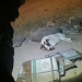Niños matan a perrito tras ponerle cohetes en el hocico; dueños exigen justicia