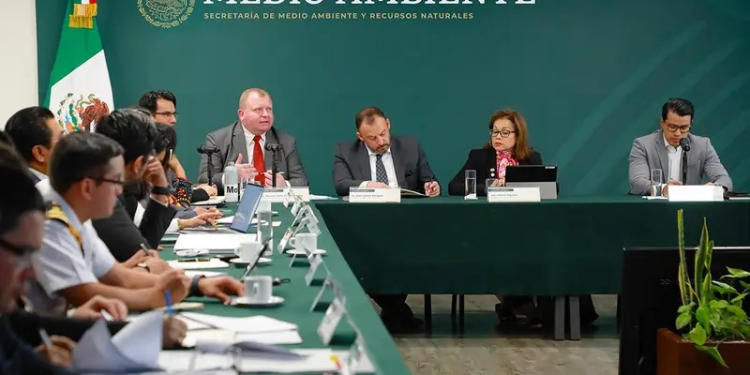 Reporte de CITES confirma que México incumplió Plan de Acción Vaquita Marina