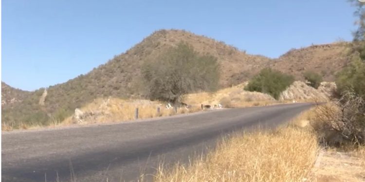 Encuentran Cuerpo Sin Vida Con Jeringa Incrustada al Norte de Hermosillo