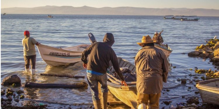 Pescadores de Sinaloa y Sonora Enfrentan Crisis por Altos Costos de Combustible