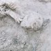Madres buscadoras localizan 5 cuerpos en el cerro La Polca, Hermosillo: ‘Mi alma está rota’