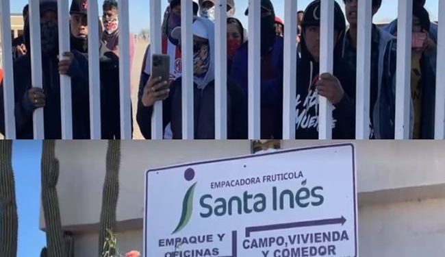 Jornaleros del campo Santa Inés en Empalme toman oficinas de la empresa “Empacadora Fructífera Santa Inés” por falta de pago; les deben hasta un mes de salario, aseguran