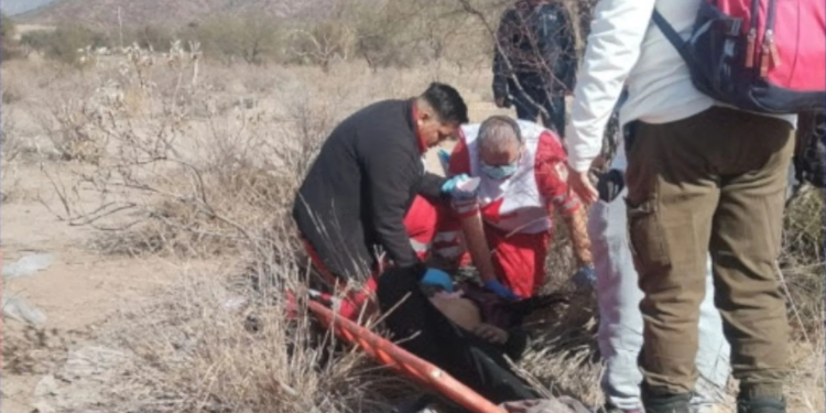Localizan a Hombre Golpeado y Degollado Aún con Vida en el Monte al Norte de Hermosillo