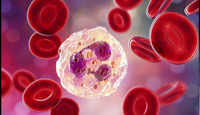 Científicos chinos logran revertir el proceso de envejecimiento