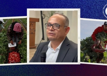 Deportaciones masivas con Trump: sector agrícola ve incremento en migración legal a EU