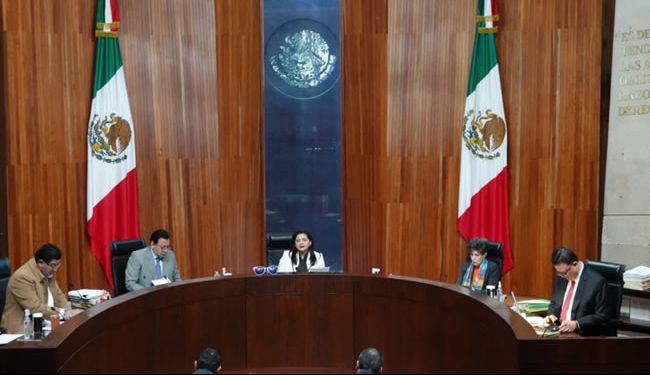 TEPJF ordena continuar elección en Poder Judicial; denunciará ante la FGR a jueces que suspendieron proceso