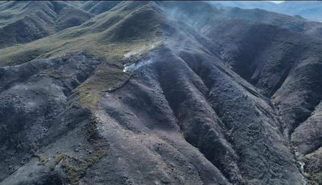 Tres incendios forestales se mantienen activos en Ensenada, Baja California