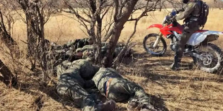 En Nogales: Detienen a 10 migrantes tras cruzar la frontera