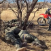 En Nogales: Detienen a 10 migrantes tras cruzar la frontera