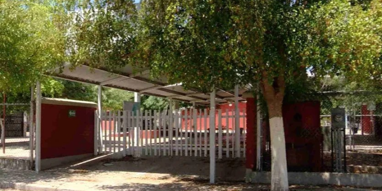 Consumo de Comida Chatarra en Escuelas; ¿Cómo Afecta en la Salud de Los Alumnos?