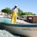 Piden bajar los costos de producción para pescadores