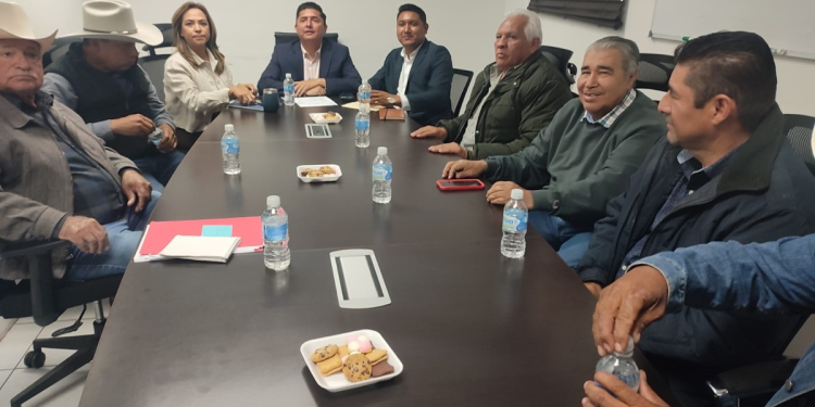 Creación de nueva ganadera de El Carrizo buscaría extender frontera fitosanitaria entre Sonora y Sinaloa