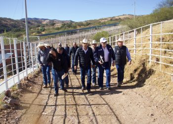 Sonora listo para recibir inspección de EU y reanudar exportación de ganado