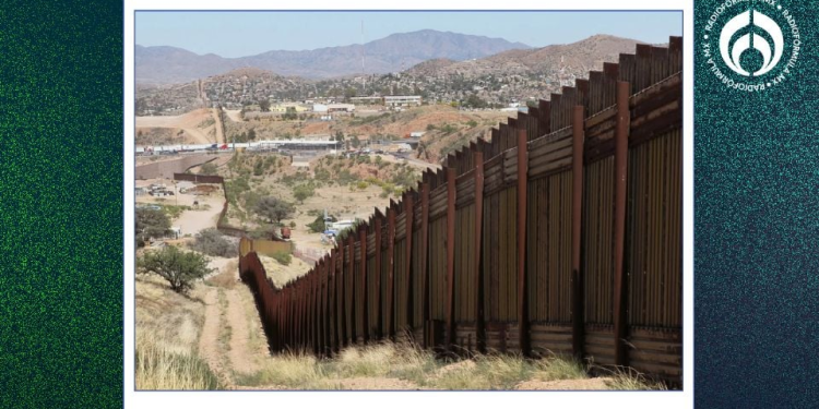 Balazos al aire por Año Nuevo en frontera de Sonora deja múltiples mascotas perdidas