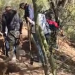 Colectivo “Buscadoras por La Paz” halla 24 fosas con cuerpos humanos en Hermosillo; se desconoce el número de víctimas