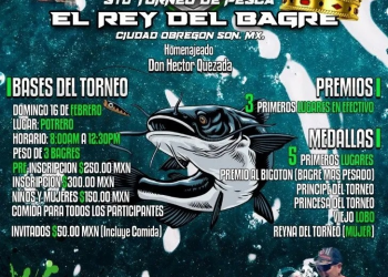 Este 16 de febrero, El Rey del Bagre en Ciudad Obregón