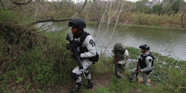 ‘Operación Frontera’ suma 116 detenidos, 35 armas y más de 300 kilos de droga aseguradas