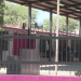 Confirma SEC Sonora Pelea de Jóvenes por Fuera de Secundaria Técnica #57 al Norte de Hermosillo