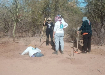 Hallan 53 osamentas en 36 fosas clandestinas en la costa de Hermosillo