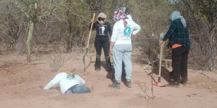 Hallan 53 osamentas en 36 fosas clandestinas en la costa de Hermosillo