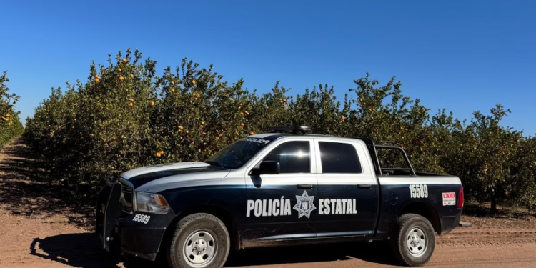 Capturan a ‘Gama 15′, presunto cabecilla de Los Deltas en Sonora
