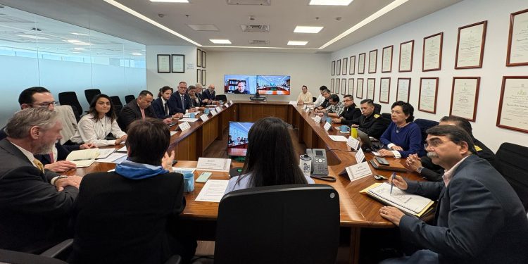 Alistan Crucero de Observación de Vaquita Marina 2025: ¿En qué consiste?