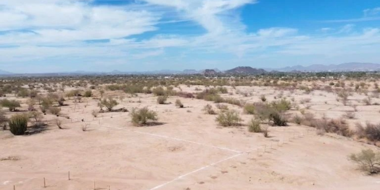 Surgen invasiones al sur de Hermosillo al no poder adquirir casa formal