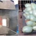 Incineran más de 2 millones de pastillas de fentanilo aseguradas en Baja California y Sonora