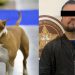 Detienen a hombre por matar brutalmente a “Popeye”, un perro Bull Terrier en Cananea