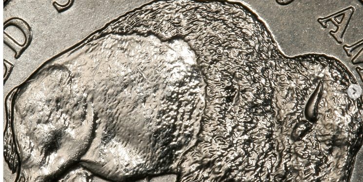 Moneda ‘Bisonte americano’ de 2005: su valor para la numismática estadounidense supera los mil dólares