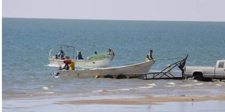 Totoaba impulsó el nacimiento de San Felipe